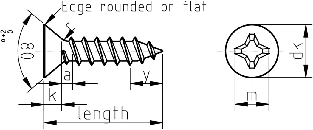 Figure 1: Phillips Countersunk Self Tapping Screw Type C