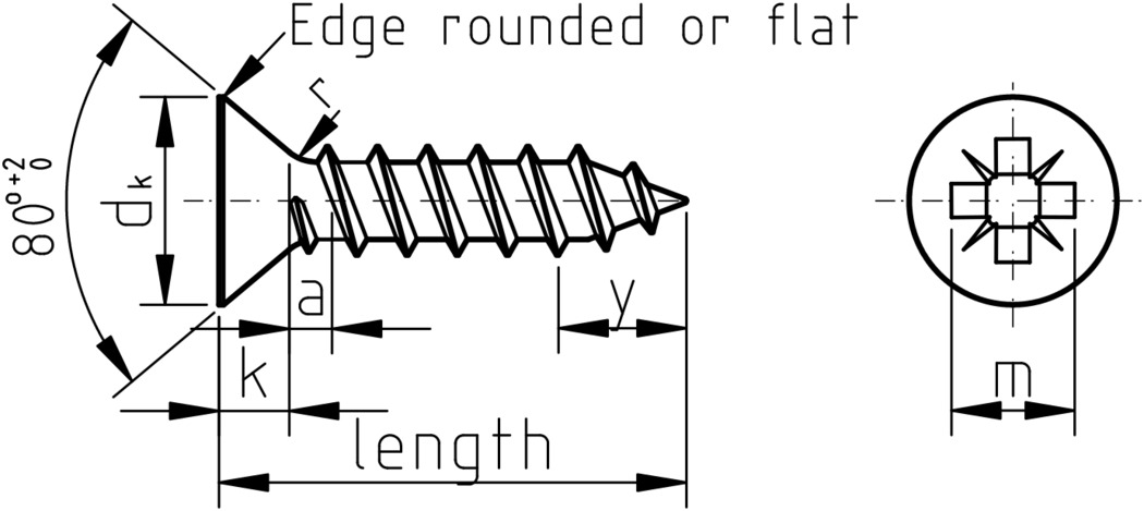 Figure 1: Pozi Countersunk Self Tapping Screw Type C