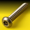 image of Pin Torx Security Button Head Self Tapping Screw (AB)