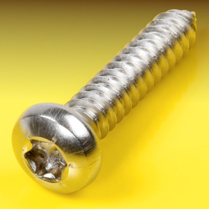 image of Torx Pan Head Self Tapping Screws Type C (AB)