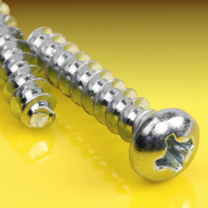 image of Phillips Pan Thread Forming Screws for Plastics, 30 Degree Thread