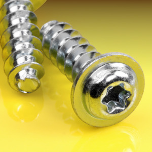 image of Torx Pan Flange Thread Forming Screws for Plastics, 30 Degree Thread