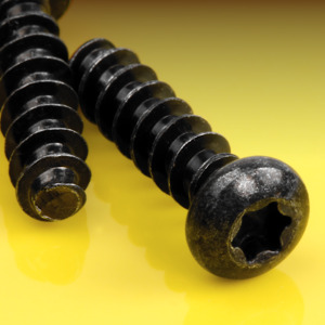 image of Torx Pan Thread Forming Screws for Plastics, 30 Degree Thread