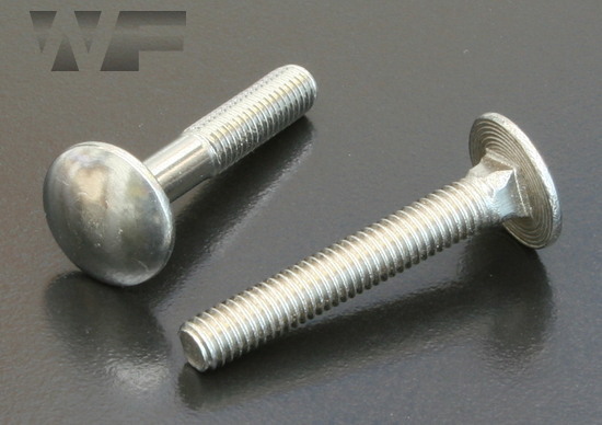 Carriage Bolts DIN 603 in A2 image