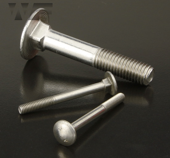 Carriage Bolts DIN 603 with partial thread in A4 image