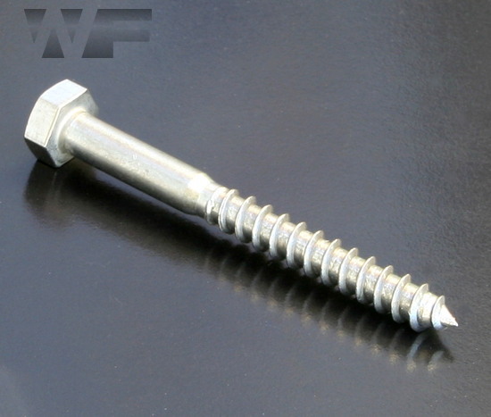 Wood Screws Lag Bolts A2 Stainless Steel DIN 571-25 PK M6 x 80 Hex Coach 
