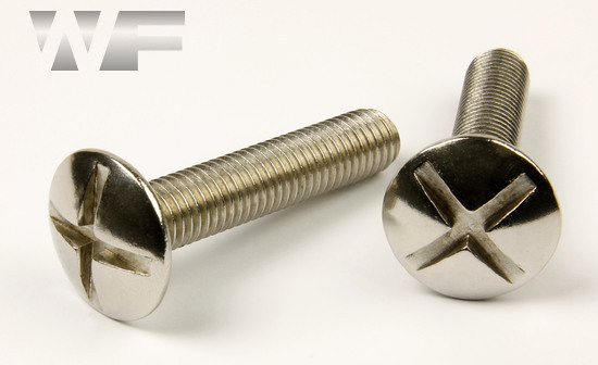 Double Slot Mushroom Head Screws NF E 25-129 in A4 image