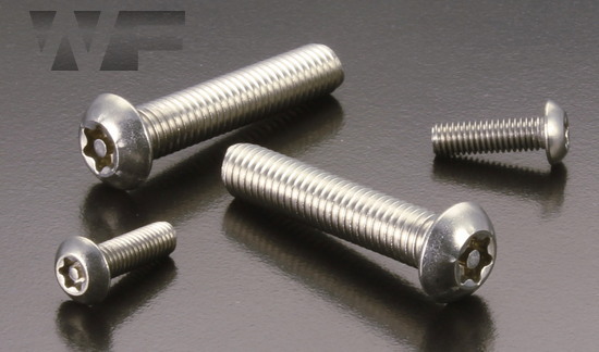 Security Pin Torx Button Screw M8 x 60mm in A2 Stainless