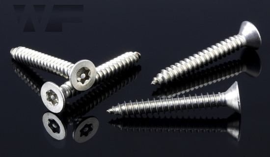 Pin Torx Security Countersunk Tapping Screws (AB) in A2 image