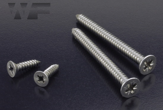 Pozi Csk Self Tapping Screws Type C (AB) ISO 7050 (DIN 7982Z) in A2 image