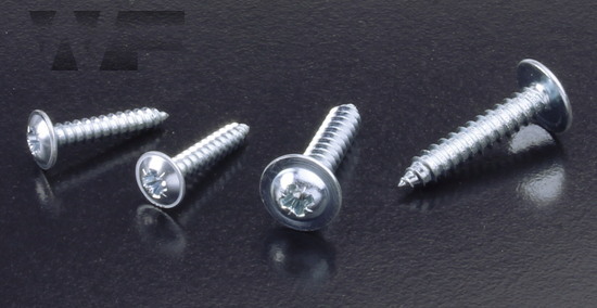 Pozi Pan Head Self Tapping Screw with Flange in BZP image