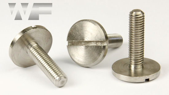 Slotted Large Pan Head Screw DIN 921 in A1 image