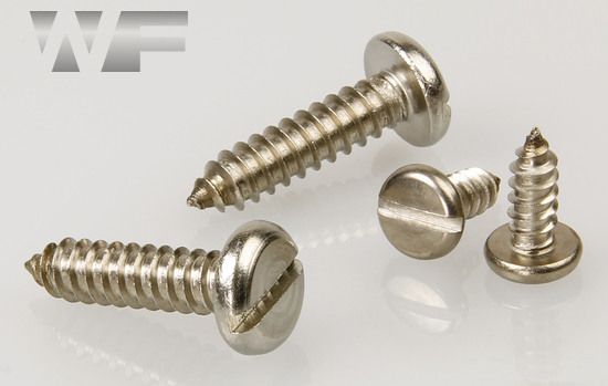 Slotted Pan Self Tapping Screws Type C (AB) in A2 image