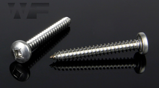 Square Drive Pan Head Self Tapping Screws Type C Point & AB Thread in A2 image