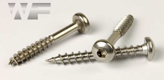 Torx Pan Head Chipboard Screws in A2 image