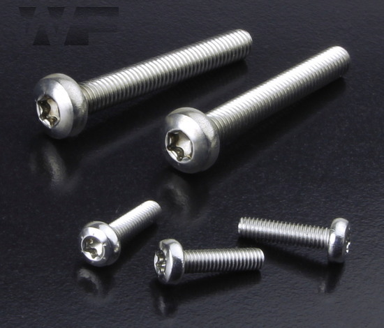 Torx Pan Head Screws Sim. DIN 7985 in A2 image