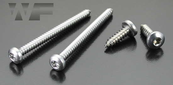 Torx Pan Head Tapping Screws Type C (AB) in A2 image