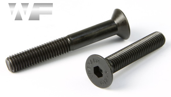 Unbrako Socket Head Countersunk Screws ISO 10642 in BO image