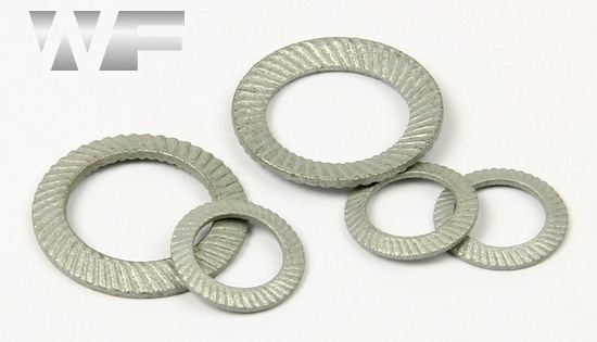 Washer Schnorr TypeS in BZP image
