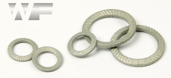 Washer Schnorr TypeVS in BZP image